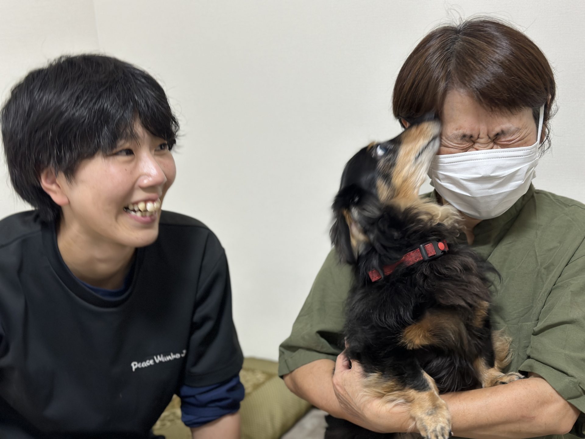 能登地震寄付　フランダースの犬　ブロンズ像 能登地震寄付 フランダースの犬 ブロンズ像 - メルカリ