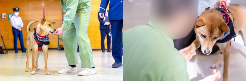 5d161aac2f50fad6afb2a6d4ab1a5387