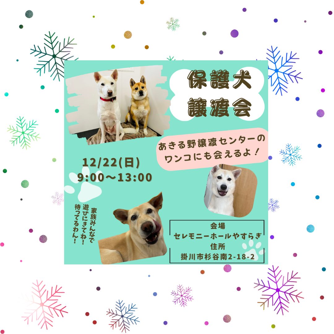 ピースワンコの譲渡会】12/22（日）「犬猫譲渡会」に参加（静岡/掛川市