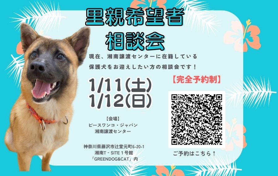 c1362654a90a8d7bfcbe790a0cbb267c