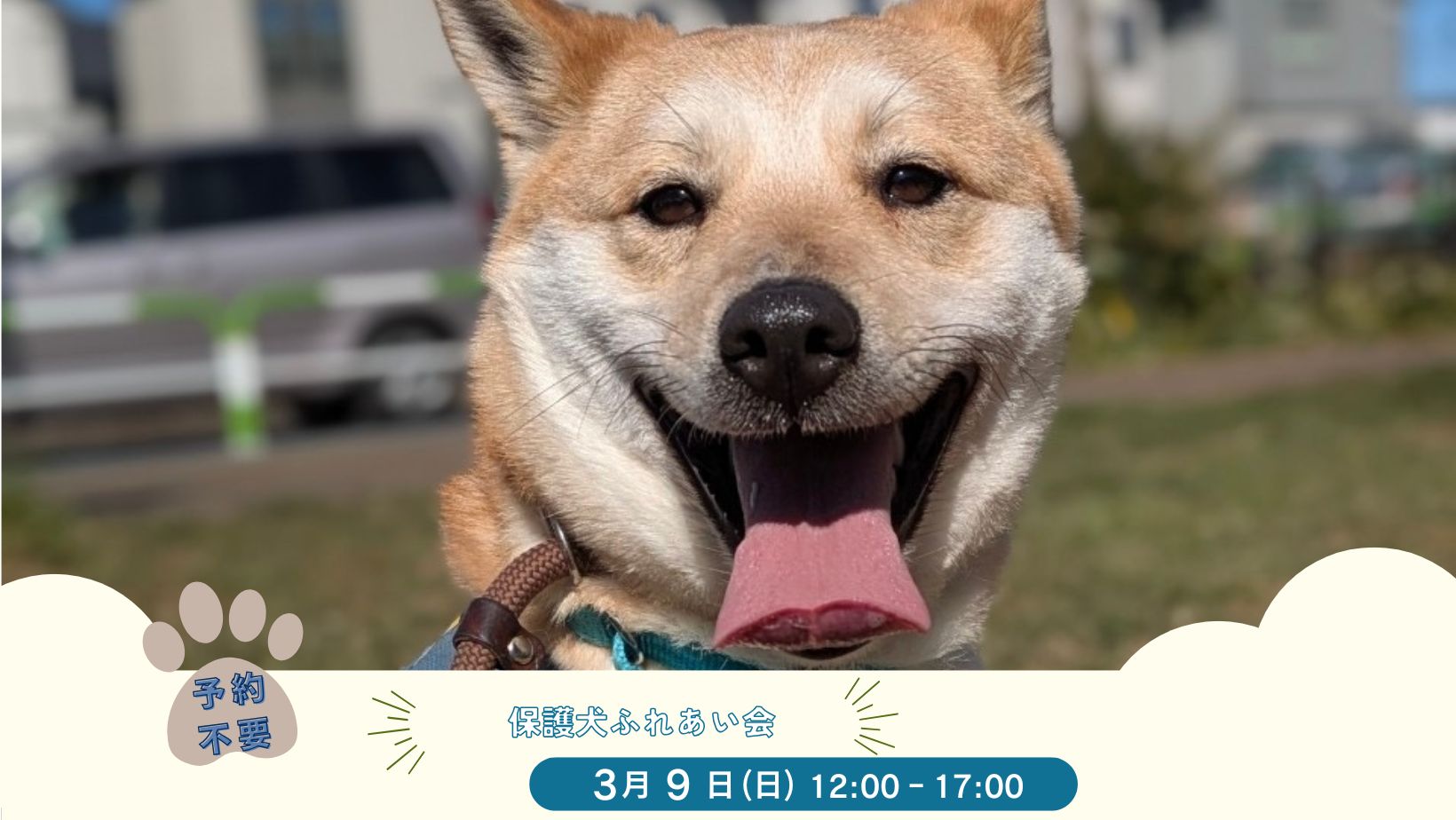 ピースワンコのイベント】3/9（日）おやつふれあい体験会「in 世田谷