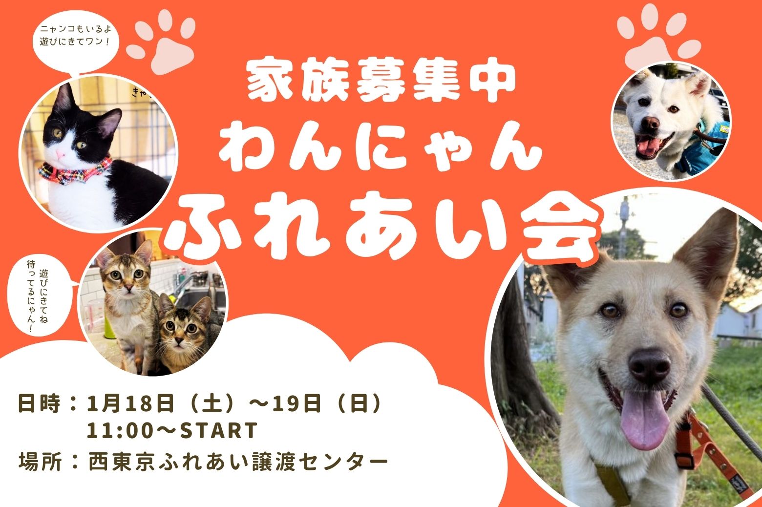 ピースワンコのイベント】1/18(土)、19(日)「わんにゃんふれあい会」を