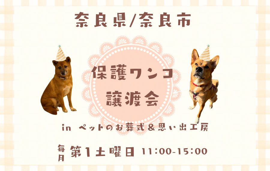 775332e0cb5b61dd25af7b95929eb049 1