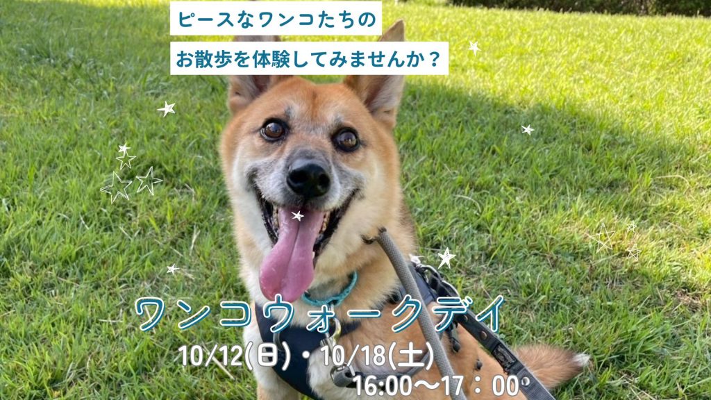 【ピースワンコのイベント】10/18(土)「ワンコウォークデイ」(世田谷譲渡センター) 5 8c53d9925cf514592aa0ab87fd4b82e9