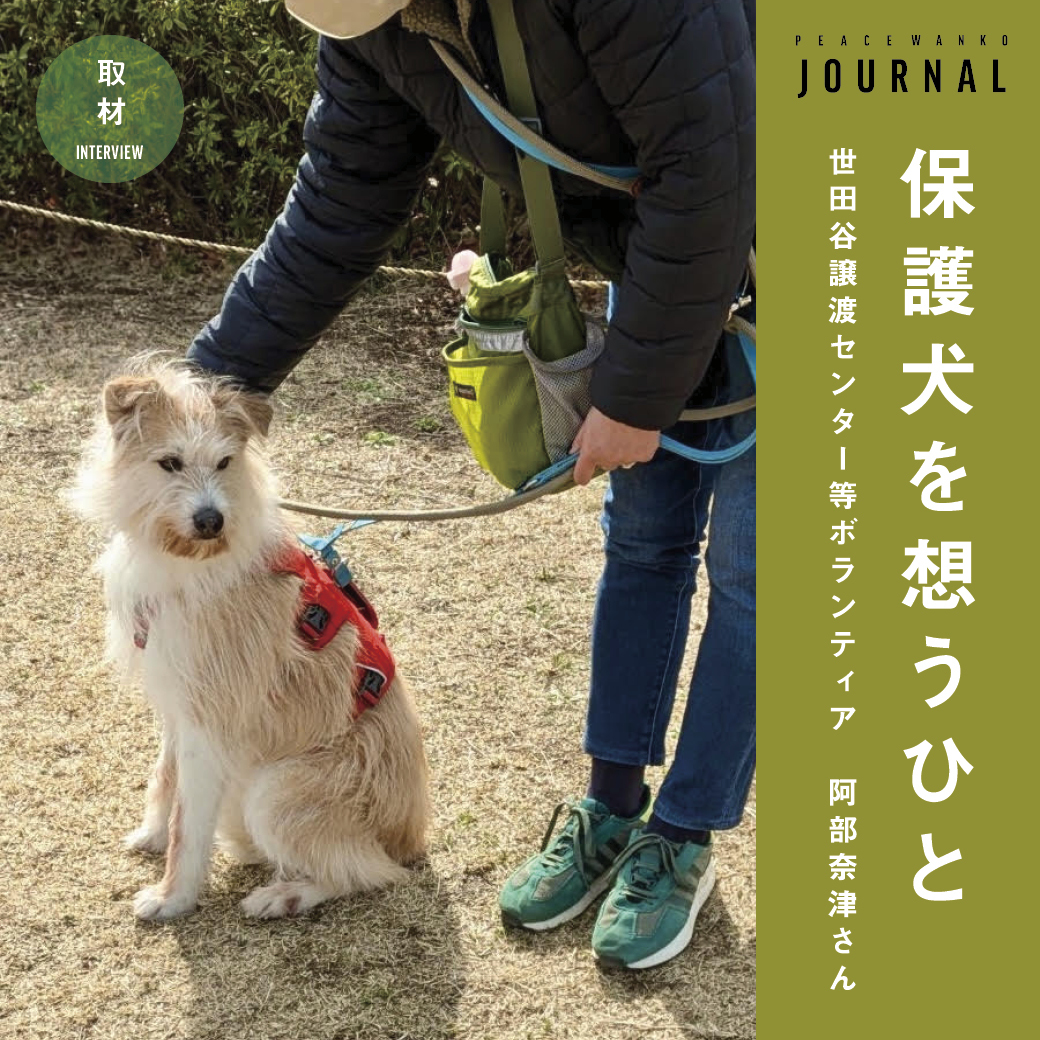 保護犬を想うひと―世田谷譲渡センター等ボランティア 阿部奈津さん