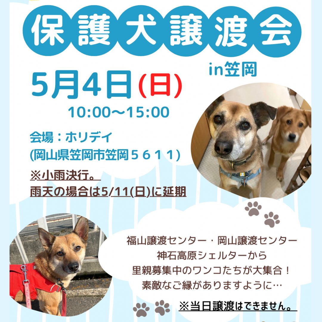 ピースワンコの譲渡会】5/4（日）「保護犬譲渡会in笠岡」開催（岡山 