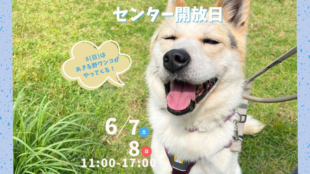 9060130e8a17ed3478734fbd66e8dbd4