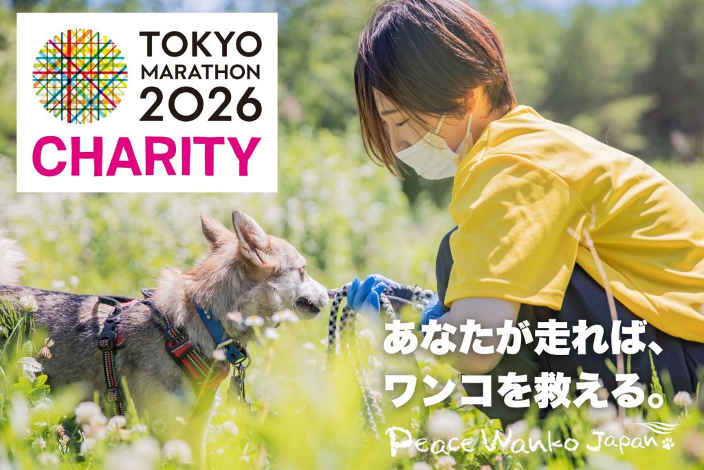 %E3%81%82%E3%81%AA%E3%81%9F%E3%81%8C%E8%B5%B0%E3%82%8C%E3%81%B0%E3%80%81 %E3%83%AF%E3%83%B3%E3%82%B3%E3%82%92%E6%95%91%E3%81%88%E3%82%8B%E3%81%AE%E3%82%B3%E3%83%94%E3%83%BC