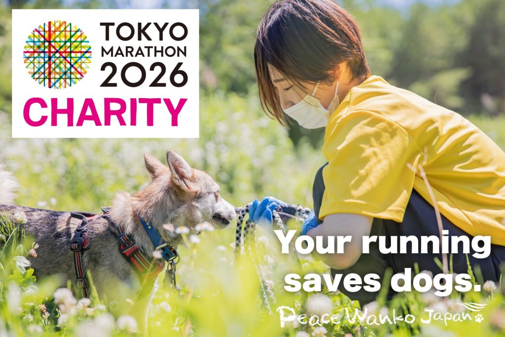 Your running saves dogs