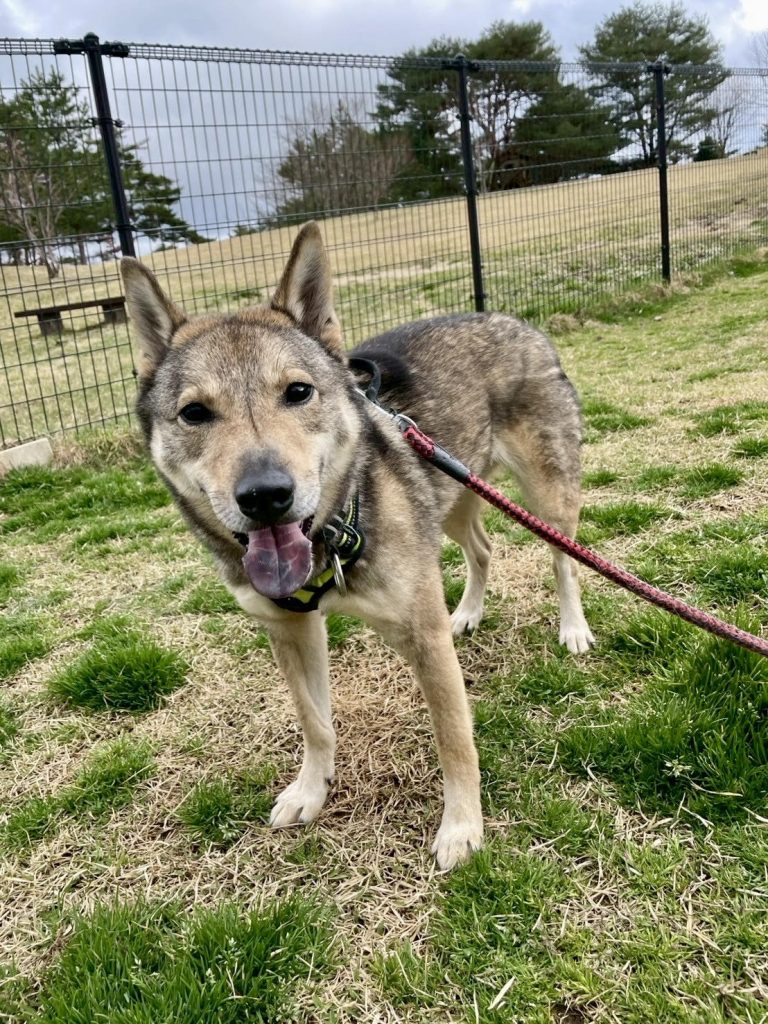 7ae0c9e044c580e5b8b086b7f7d7329d