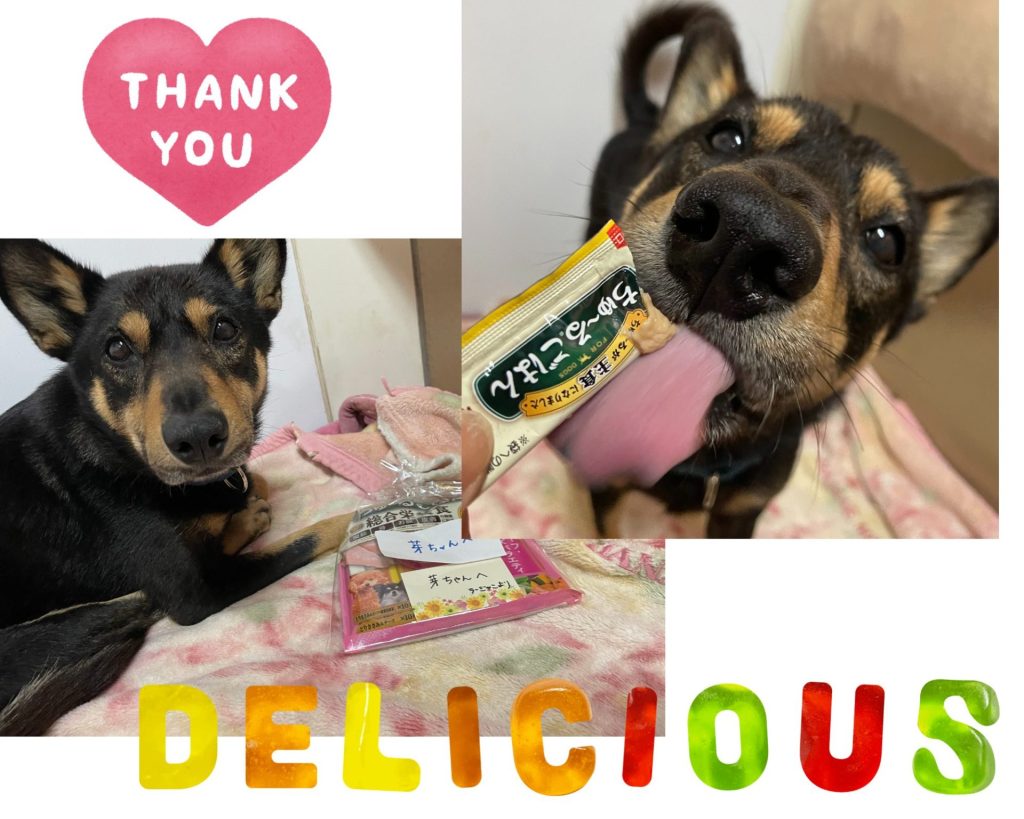 8be8c3062c6f3f5b1f528fe94b574b67