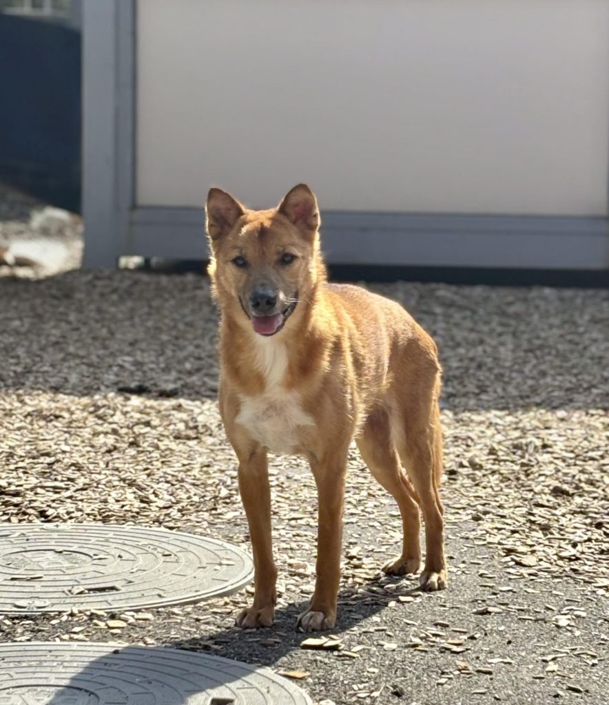 a7d1a187bcf9de4761283acc9d8c3dbe