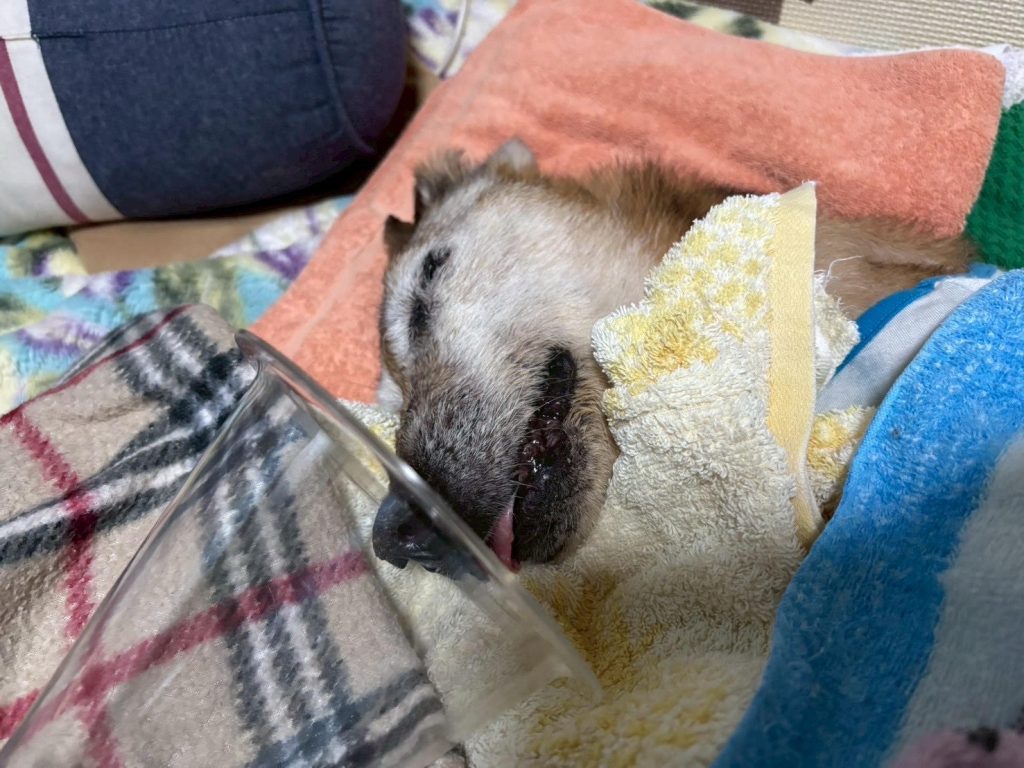 fe5a9b00acd629a395eeae1e1b4e5183