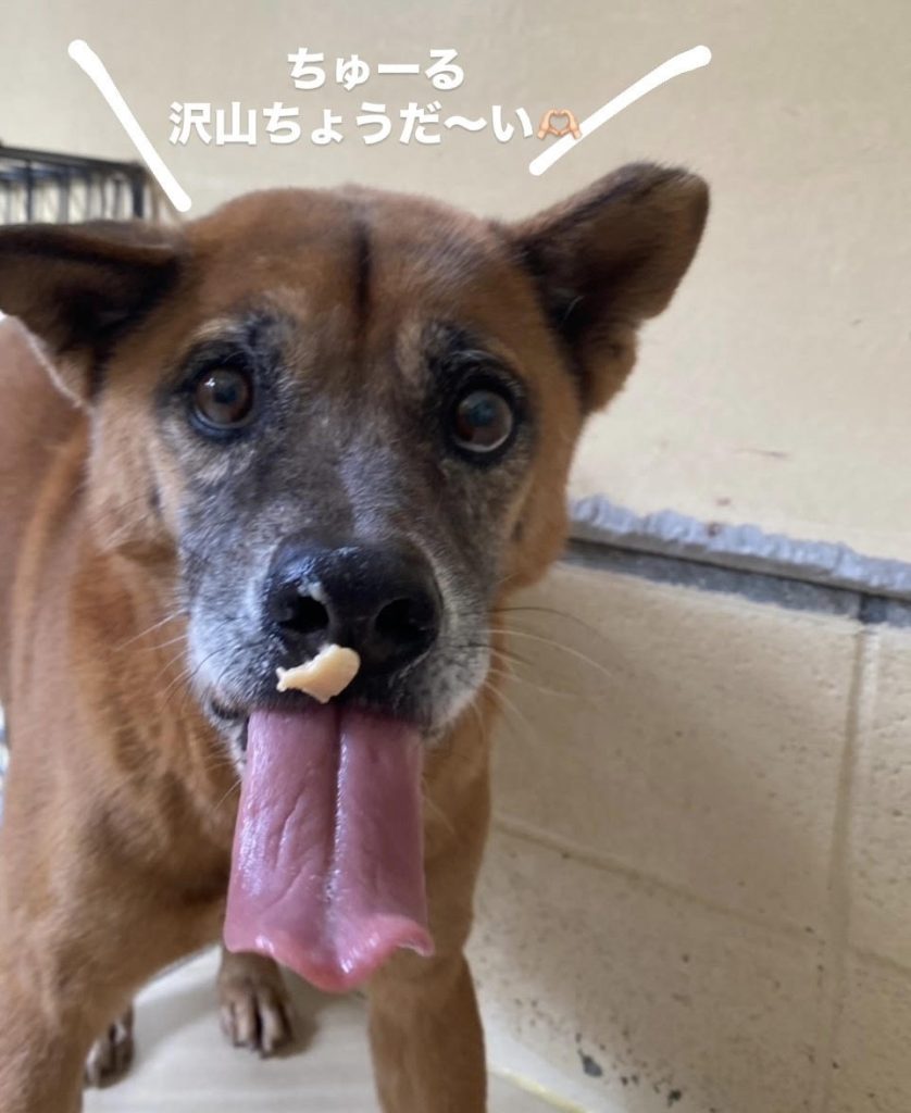 2aeab6a8e299a2b2f9ab402e214119af