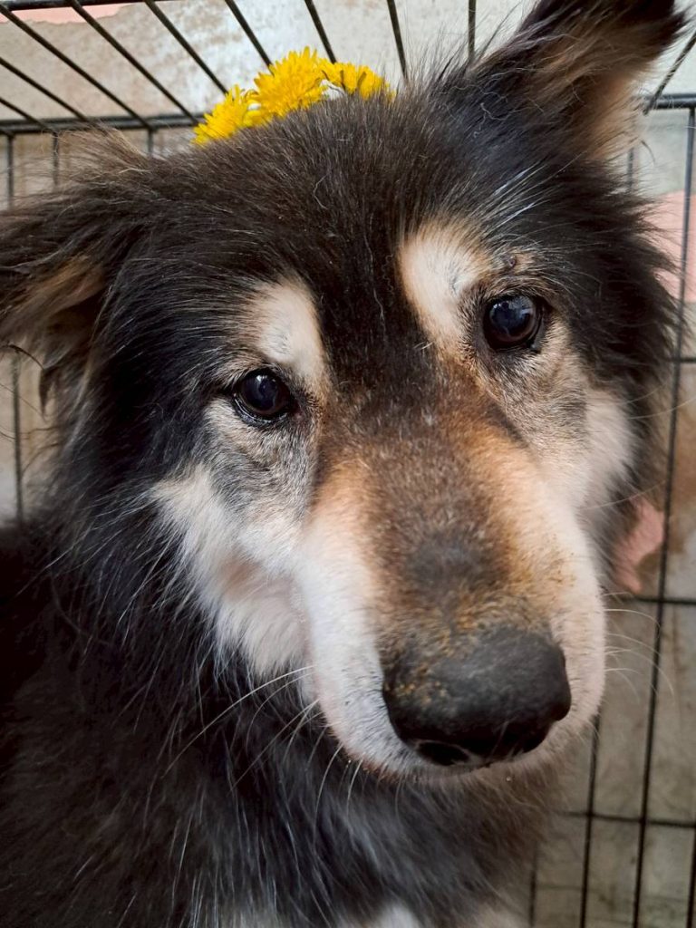 11eb5fee6082b0cfdeca5168b0ce4976