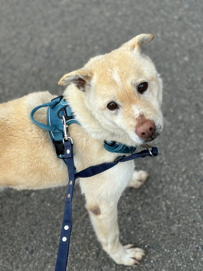 50ab058e65d6a4879b96e3c3a53dbcc5