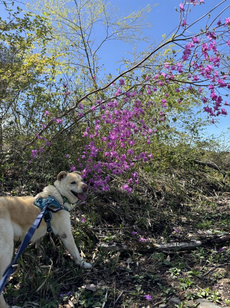 a82a78ade954dc259d54339f0c36f079