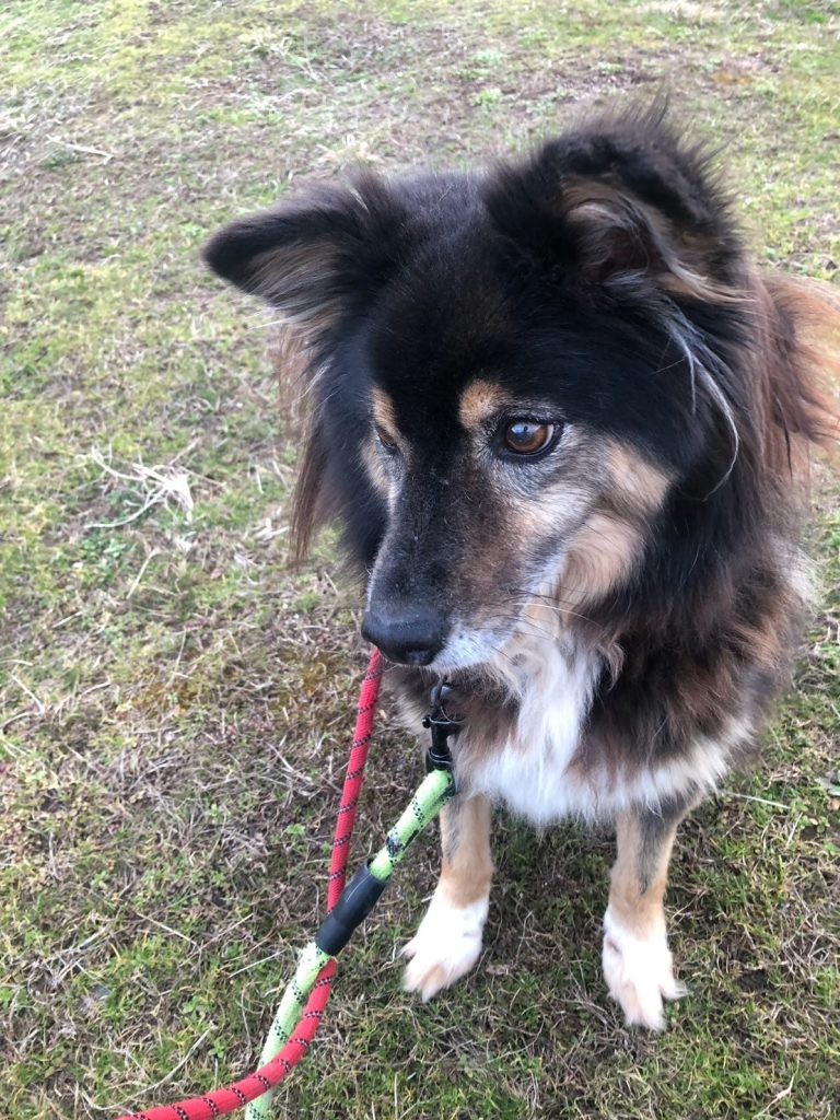 ed04a2b3bffb47ee0432ba8f80baed57