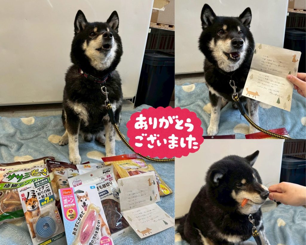 a84d3bb122f54fdf685fdb98b53637bc