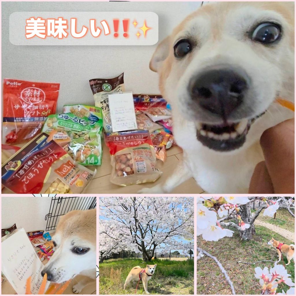 1026db253afca15fa1d4c4a072d7ccf4