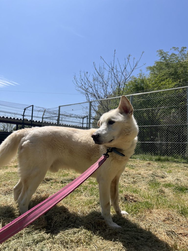 056291b23d8af40c6b00be34c322dfa2