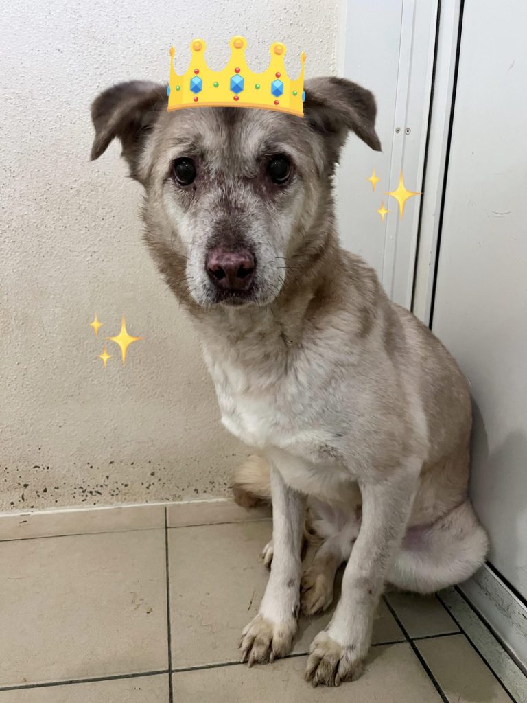 540bca3b8a7377bf8aabd4c1e751a31c