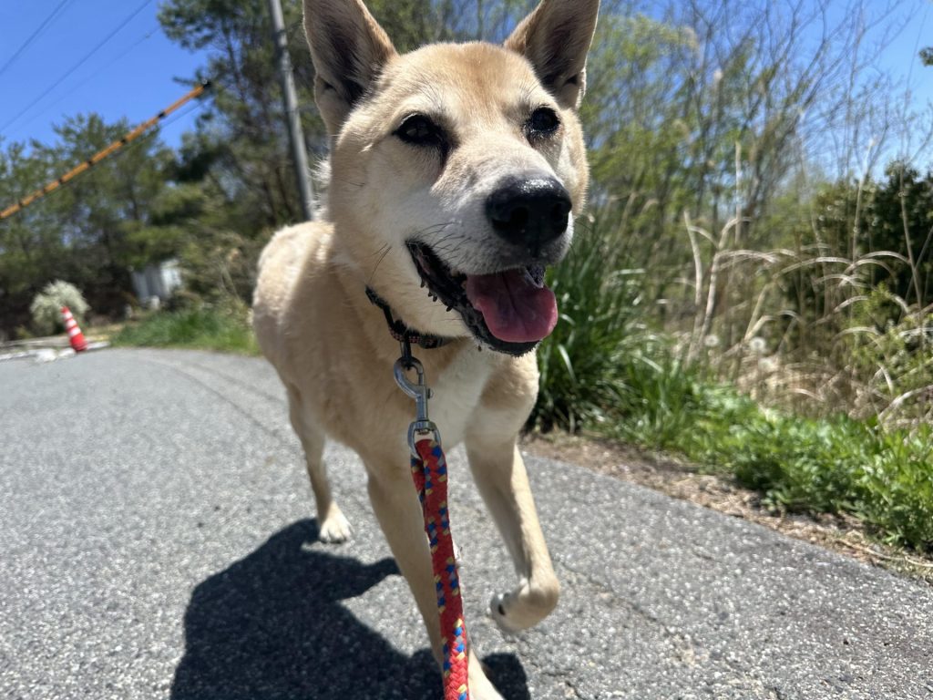 428a6f4bbb72cb1f39ffd913254b28e6