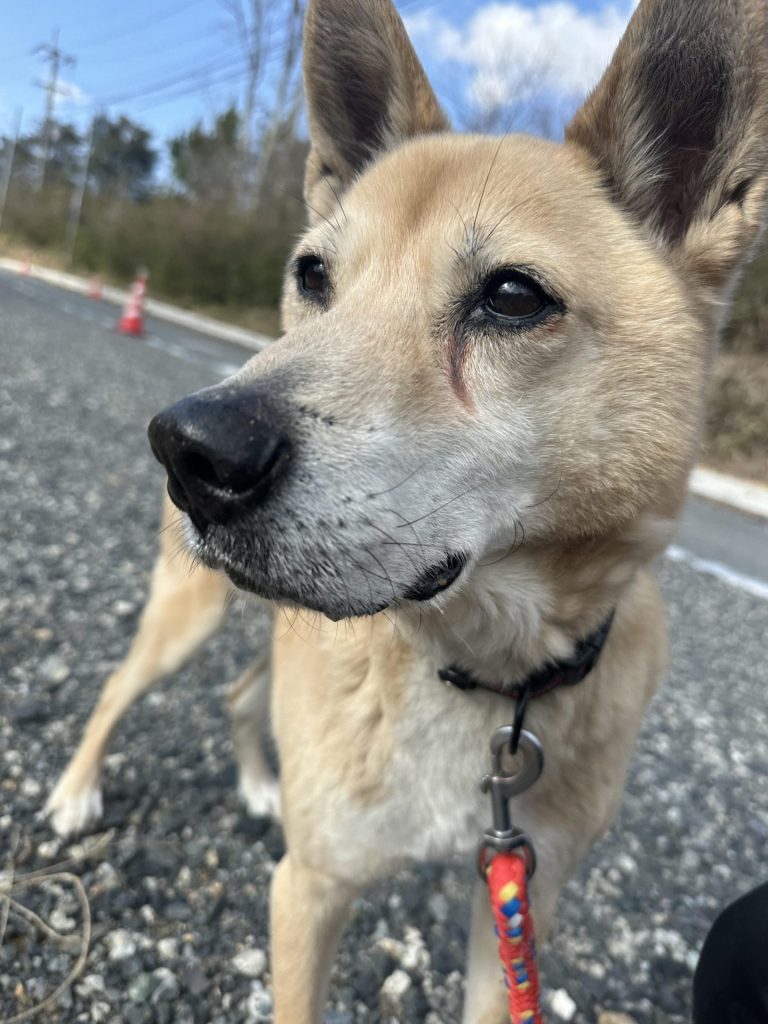 8fb592830bab1c2415e0ce2b63c93f2d