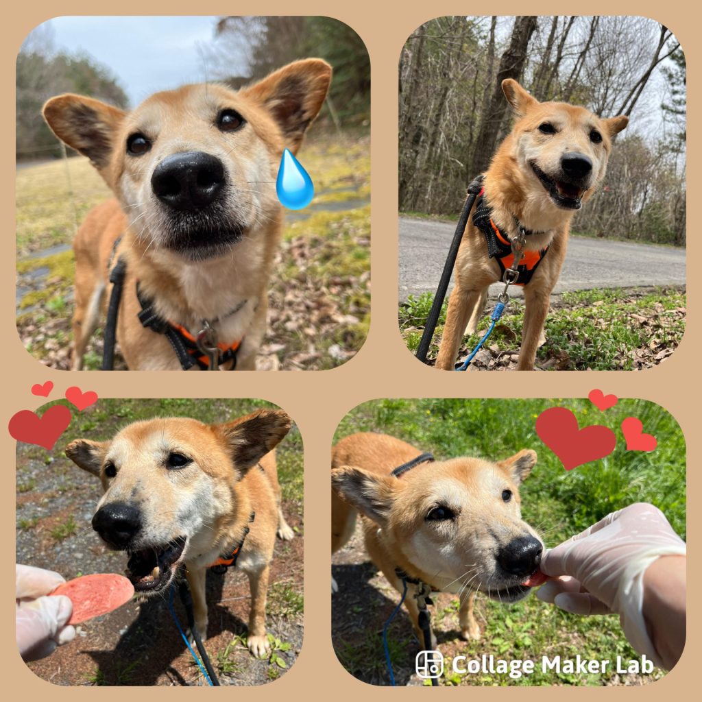 79374f9f1015ffc8aeba04e422be6a06