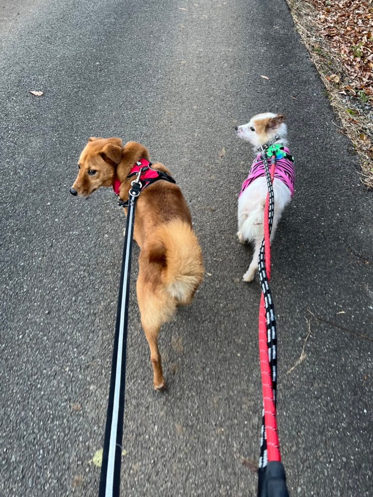 942319aef344268a84aaa09a46715dd2