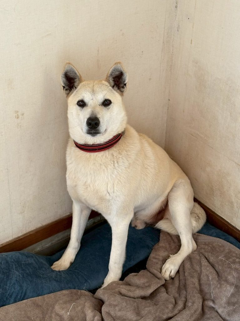 720db3cbb416c14736429ca5b5a4191d