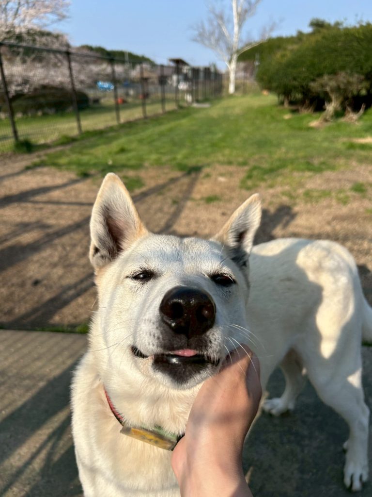 a35569b39a3f6fc1b473209ea8a9fb7b