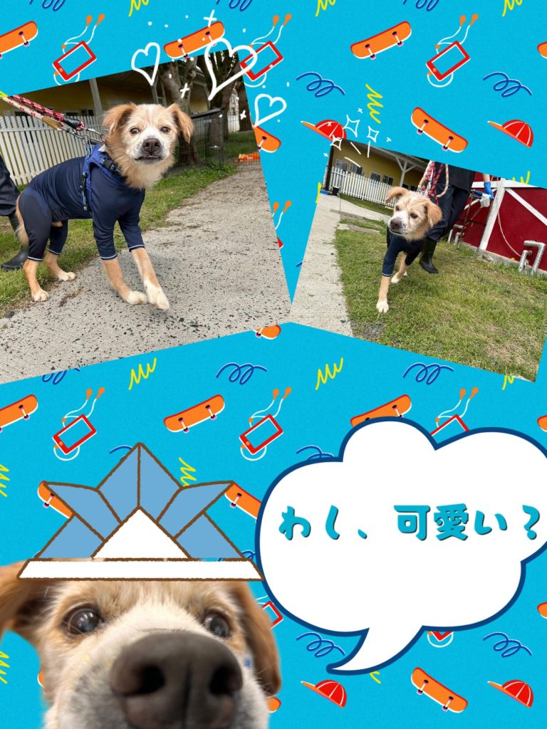 7e1fa0d030e3a542f0ed480184693742