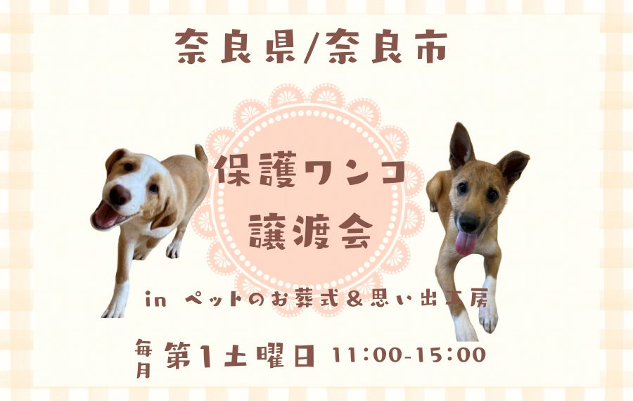 85b1e8639e5e44d2bc04bc7d7b85ec6c