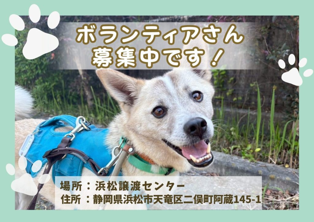 2d350ae6ac56a5621b4fc732b6d526e2