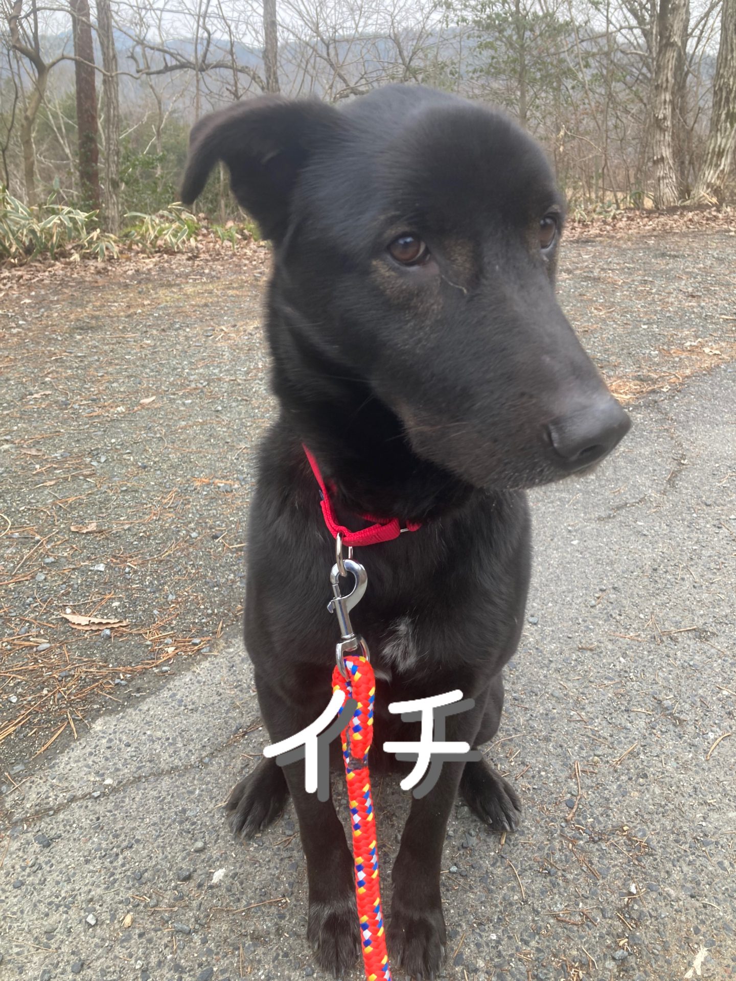 {"data":{},"tiktok_developers_3p_anchor_params":"{"picture_template_id":"","client_key":"aw889s25wozf8s7e","capability_name":"retouch_edit_tool","source_type":"vicut"}","exportType":"image_export","editType":"image_edit","source_type":"vicut","pictureId":"DD024131-68F5-468D-8979-E534C6A8549E"}