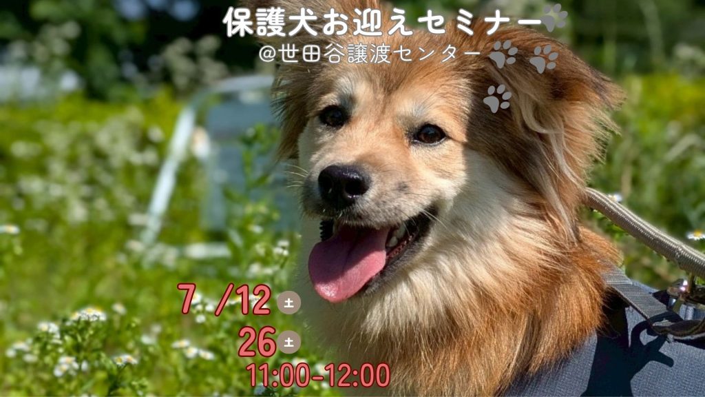 5f708f6cb30373e73fd25c18e70a06f4