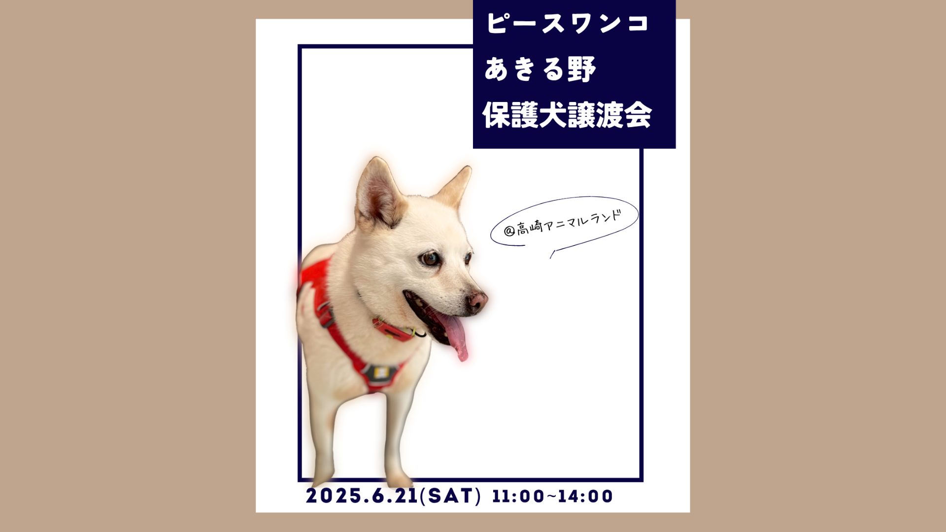 ピースワンコの譲渡会】6/21(土)「保護犬譲渡会」を開催（群馬/高崎市