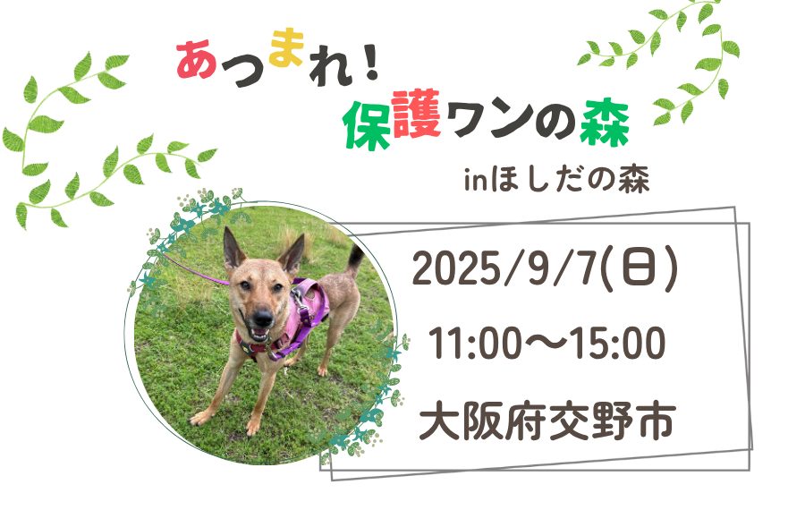 d4e190a5b638b64d45b111a34584d640