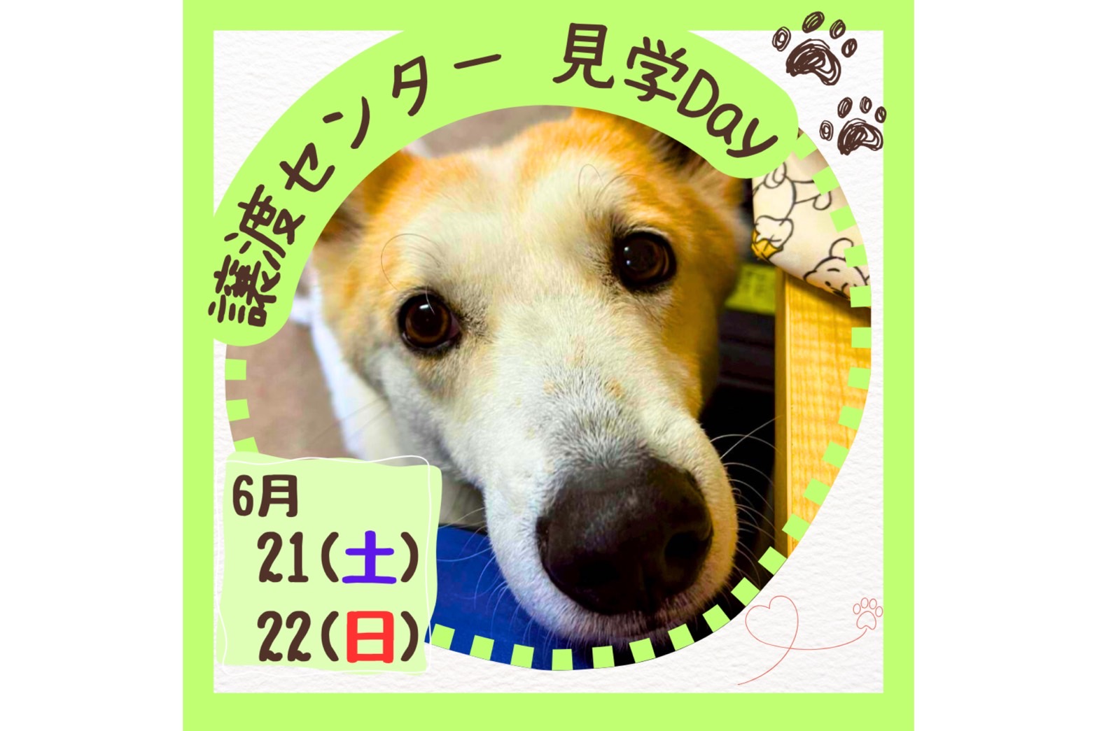 a11b4bb3ba448d1fa402ac3dc62cc9