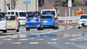 夏の犬のお散歩は要注意!夏に起こる肉球トラブルの原因から自宅ケアまで詳しく解説【獣医師監修】 6 4e04b0b4657aa1cfdee1a24e62d2186f