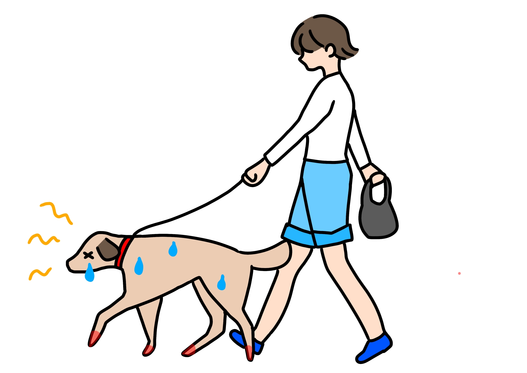 夏の犬のお散歩は要注意!夏に起こる肉球トラブルの原因から自宅ケアまで詳しく解説【獣医師監修】 11 22942631