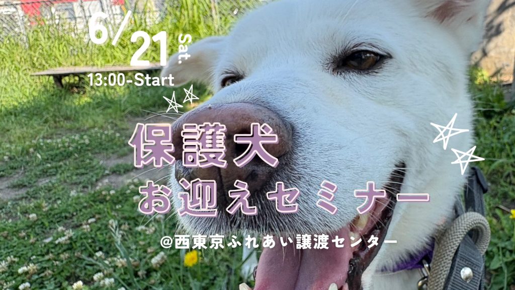 6月のドッグイベント情報 | わんこ部ラン