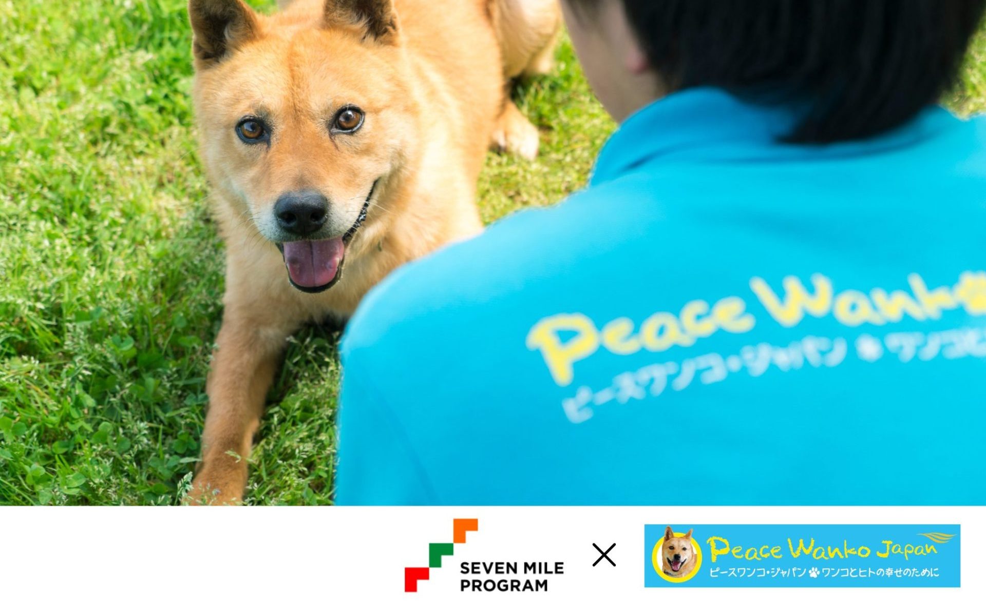 お知らせ】「セブンマイルプログラム」での寄付受付を開始 - ピース