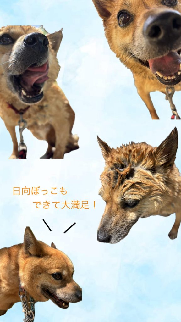 d6b66e1a77c4e729ceda1a6c11d2b1aa