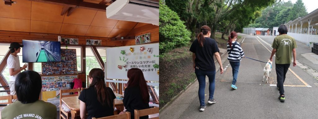 2024年度ふるさと納税返礼品「ピースワンコツアー」にご参加いただきました! 3 1 11