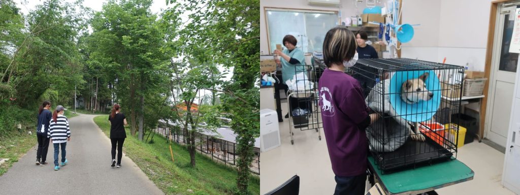 2024年度ふるさと納税返礼品「ピースワンコツアー」にご参加いただきました! 4 2 9