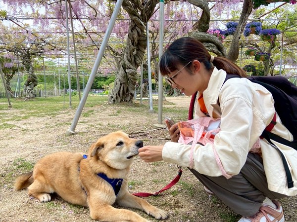 【ワンだふるLIFE】出会いから家族へ。スタッフが迎えた「ファンキー」の物語 8 9ca95e109e03483ec33302ec2dcaf94f