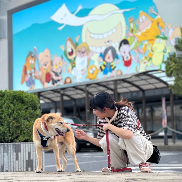 【ワンだふるLIFE】出会いから家族へ。スタッフが迎えた「ファンキー」の物語 30 825cb9dfb80d77f2dcc0b0025465254f