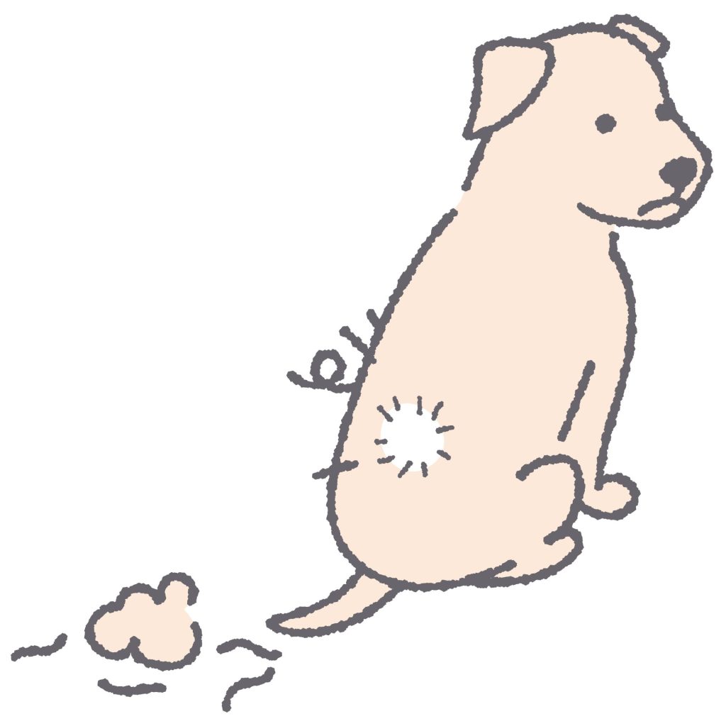 犬の甲状腺機能低下症とは?犬に多く見られる内分泌疾患を解説【獣医師監修】 8 98dc686bcb81283a665a1c248ea33131